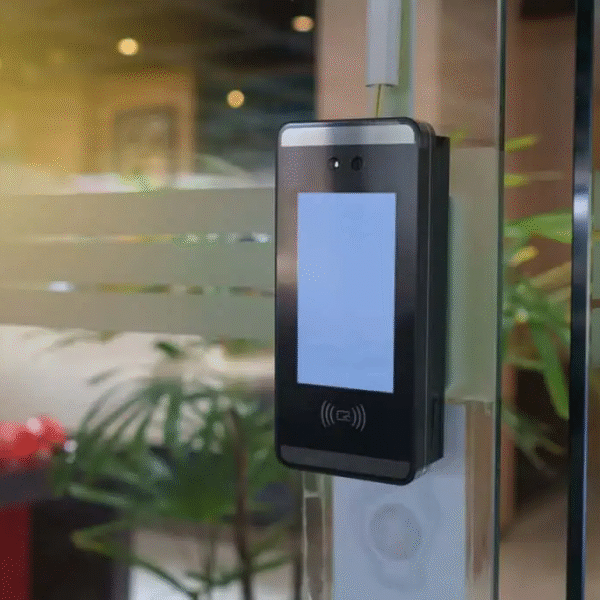 Commercial Glass Door Smart Lock Nigeria